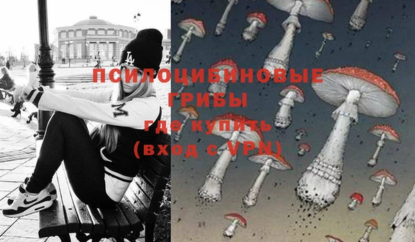 дурь Волоколамск