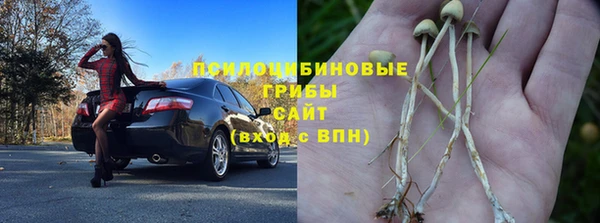 дурь Волоколамск