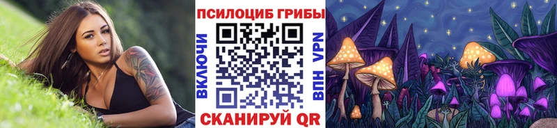 Псилоцибиновые грибы Cubensis  Кострома 